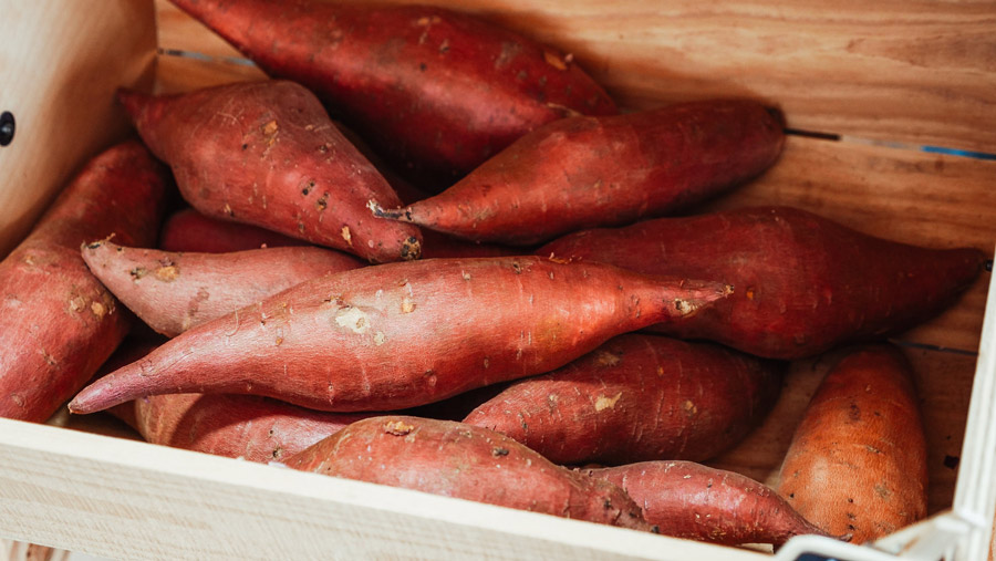 Sweet potato: Nutrition and health benefits