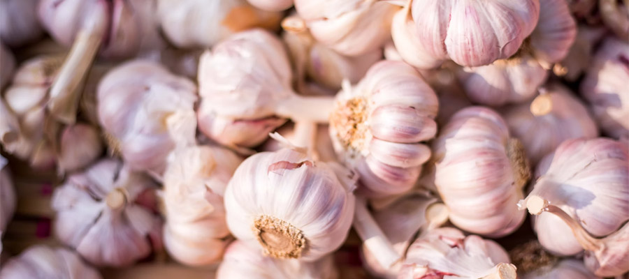 garlic Herbs to boost your immune system