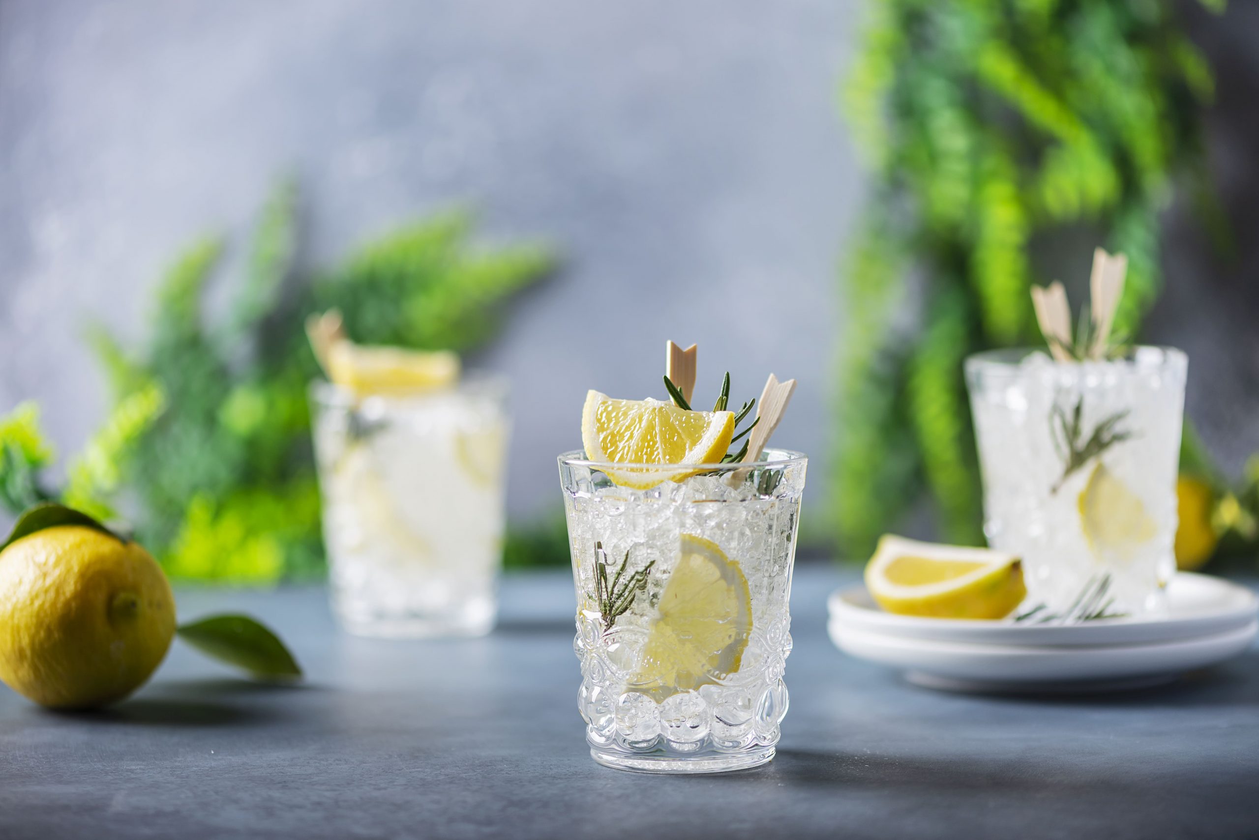 lemon soda cocktail with rosemary 2021 08 28 03 28 21 utc min scaled 1