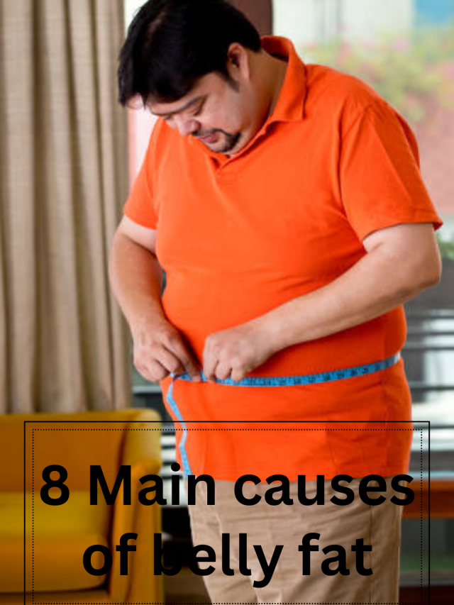 8 Main causes of Belly Fat